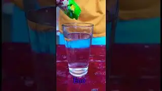 Amazing eno experiment with biscuits#shorts #experiment #tricks #science #viralshorts #trending