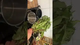 Sri Lankan Rice And Curry 😋UK TAMIL BLOG