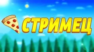 Стрим по майнкрафт от модератора VimeWorld (Пати бесплатно)