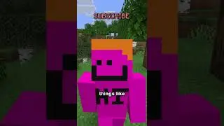 the most overpowered mechanic in survival minecraft.
