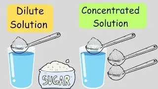 Dilute and Concentrated solution| What is dilute solution in Chemistry class 9th