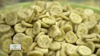 260 TẤN CHUỐI SẤY KHÔ, GIÒN XỐP ĐỒNG THÁP ĐƯỢC ĐƯA RA THỊ TRƯỜNG MỖI NĂM