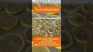 The Future of Fruit Drying: Energy-Saving Dehydrator for Sustainable Indulgence,save 80% your bill
