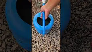 Must-Try Garden Hack and Tip for Young Durian Trees