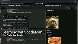 Learn HTML by Building a Cat Photo App - Step 56