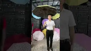 Windproof Travel Umbrella 🌂 Compact, Reverse & UV Safe