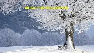 Peaceful Relaxation Music, Stress-free Music, Insomnia Music, Yoga Music.