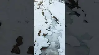 This Snow Paradise Is Not Easy to Reach ❄️🏔️ | Himalayas at 13,000+ ft