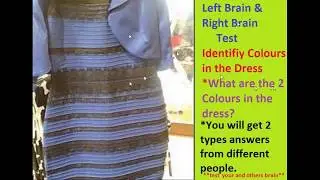 Left Brain People Vs Right Brain People Test | Color Identification
