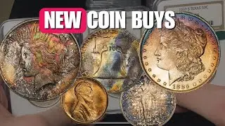 NEW Collector Coins - Recent Buys Carson City, Toners, CAC, MORE!