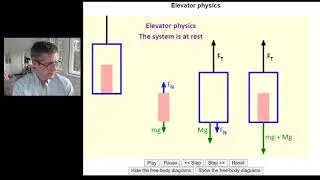 Physics Explanation of Forces in Elevators