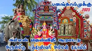 Panagkaalmukku Bhadreswari Amman Kovil அம்மன் தென்வீதி ஆறாட்டு 2025 #thengapattanam #kanyakumari