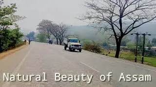 Natural beauty of Assam