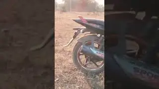Pulsar 125 cc ka power 💪🔥#@Reva-rs#Reva#real #youtube.com/shorts/eOravXBjwIY?si=1RhuzURZi3PGujfB