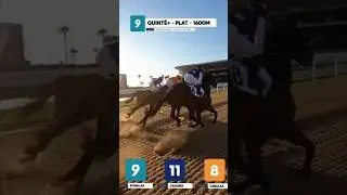 Quint&eacute;+ Vincennes | Ma S&eacute;lection du Jour &ndash; lundi 12 janvier &agrave; Cagnes sur Mer #pronostic #quinte