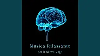 Musica rilassante per il nervo vago