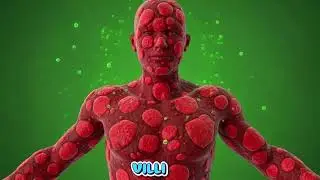 What Happens to Your Body When You😨 Eat Burgers Every Day? | Medical Science Explained