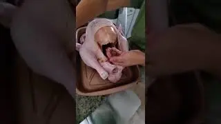 How To Season A Puerto Rican Turkey