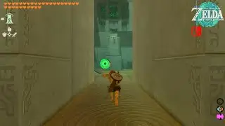 Legend of Zelda TOTK - Proving Grounds: In Reverse 