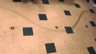 3rd Harmonic Slinky Standing Wave