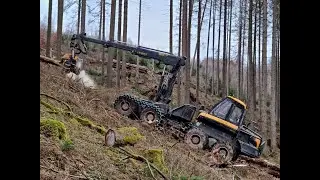 🌲*BEAR vs. BIG TREES • Ponsse Bear in Starkholz • Ponsse Logging • Harvester Action • Logging🌲