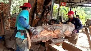 🔴 KAYUNYA MERAH //  BAGUS ENGGAK YA KAYU MANGIS BUAT  FURNITURE