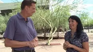 Phoenix Sustainability Officer - Mark Hartman | City Update
