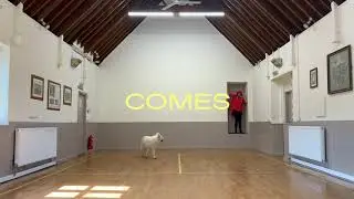 Liela Moss - Watching The Wolf (Lyric Video)