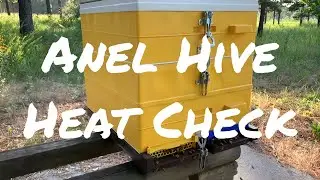 Quick Anel Hive checkup - it's HOT out here!