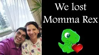We Lost Momma Rex