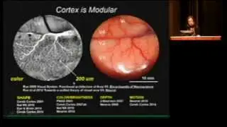 BrainSTIM2015, A. Roe, PM#9, Infrared Neural Stimulation: A New Stimulation Tool...