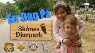 Vi gör 🐶 Skånes Djurpark och Fåret Shaun väldigt osäkert 🙈 träffar många roliga djur