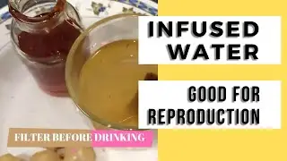 Infused Water for Detox Reproduction