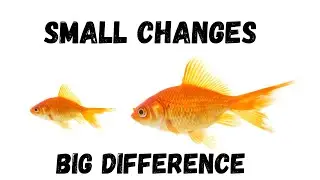 Small Changes Make Big Difference