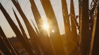 A Week in Joshua Tree - Meditation Music, Mindfulness, Stress Relief, Calm, Relaxation, Deep Sleep