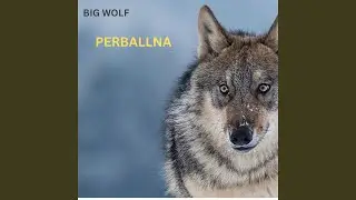 Perballna