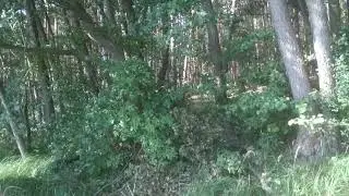 Jak rzucić zestawem swing tip.