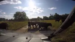 Chapman Ranch Flood 2015