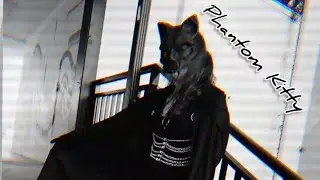 Phantom Kitty Theme 
