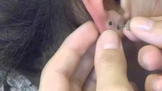 Como hacer piercing en la Oreja Mariana Morales