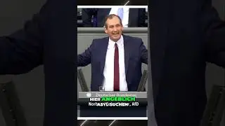 Illegale Migration stoppen & Deutschlands Grenzen sch&uuml;tzen! #afd #politik