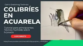 Como pintar Colibr&iacute; Alimentando sus Polluelos  | Paso a paso