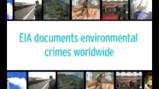 Environmental Investigation Agency