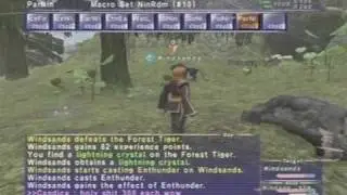 Nin/RDM Solo Jugner Forest
