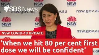 NSW reports 1,485 new coronavirus cases amid warning of peak within next fortnight I SBS News