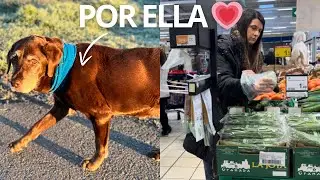 Me castigaron😅+compras + el combo inesperado | Vlog Nere Nerea