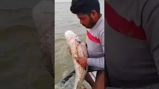 fishing in river bangladesh || #village_fishing_trap #amazing_fish_catching #natural_fish_catching