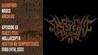 Archive #13 w/ Hellacopta Guest Mix Hosted by SerpentEyes - Dance/Electronic/Deep Dubstep DJ Mix
