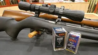 Test Penetrazione a 66 metri di distanza .22 LR CCI Stinger 32g Contro .22 WMR CCI Maxi-Mag 40 g