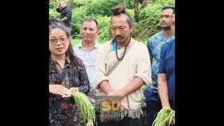 Phurmith Lepcha || Dzongu || Barley Grass || Wheat Grass || Benefits || Cancer  recovered ||